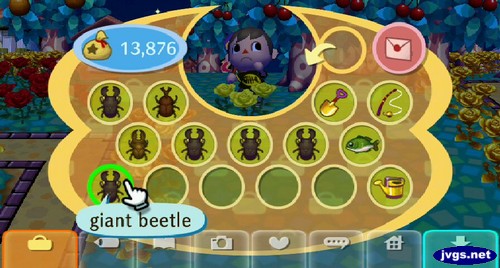 My first seven bugs caught on Monday night, including five giant beetles.