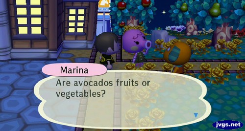Marina: Are avocados fruits or vegetables?