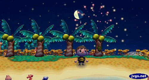 Jeff enjoys the fireworks festival in ACCF.