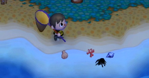 A tarantula standing in the water.