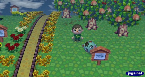 Mint tries to hide behind a sign post.