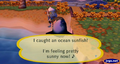 I caught an ocean sunfish! I'm feeling pretty sunny now!
