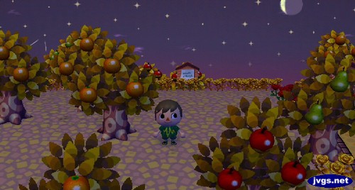 The autumn colors of nature in Forest.