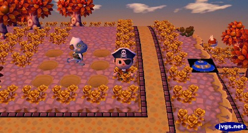 Monty the monkey is trapped by some holes in the ground.