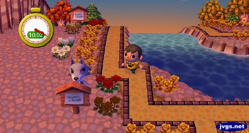 Fang hides behind a sign board during a game of hide and seek in Animal Crossing: City Folk (ACCF) for Nintendo Wii.