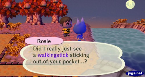 Rosie: Did I really just see a walkingstick sticking out of your pocket...?
