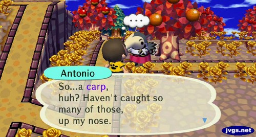 Antonio: So...a carp, huh? Haven't caught so many of those, up my nose.