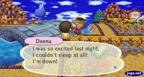 Deena: I was so excited last night, I couldn't sleep at all! I'm down!
