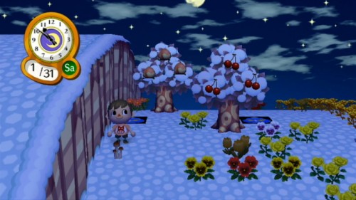 Finding a mushroom in winter!