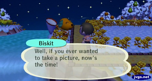 Biskit: Well, if you ever wanted to take a picture, now's the time!