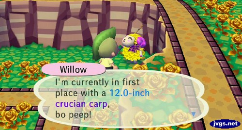 Willow: I'm currently in first place with a 12.0-inch crucian carp, bo peep!
