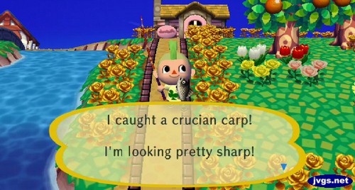 I caught a crucian carp! I'm looking pretty sharp!