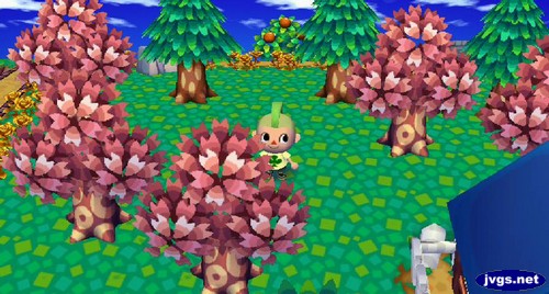 Pink trees abound in Forest.