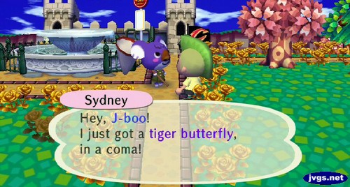 Sydney: Hey, J-boo! I just bot a tiger butterfly, in a coma!