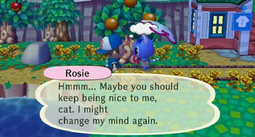 Rosie: Hmmm... Maybe you should keep being nice to me, cat. I might change my mind again.