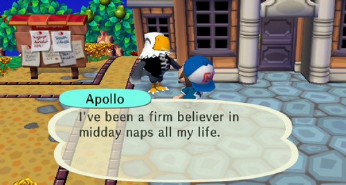 Apollo: I've been a firm believer in midday naps all my life.