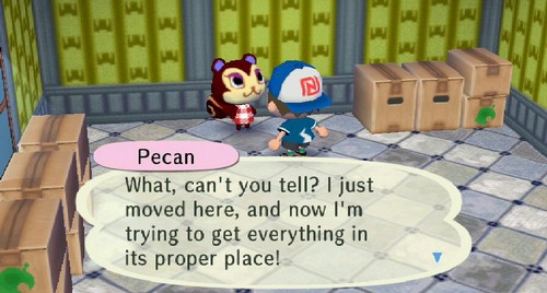 Pecan: What, can't you tell? I just moved here, and now I'm trying to get everything in its proper place!