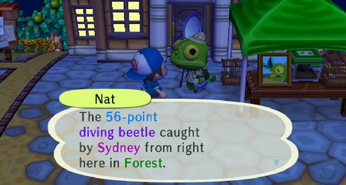Nat: The 56-point diving beetle caught by Sydney from right here in Forest.