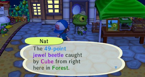 Nat: The 49-point jewel beetle caught my Cube from right here in Forest.