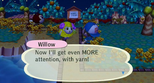 Willow: Now I'll get even MORE attention, with yarn!