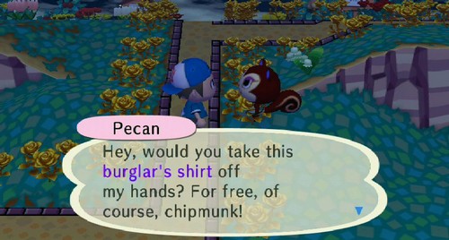 Pecan: Hey, would you take this burglar's shirt off my hands? For free, of course, chipmunk!