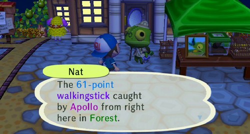Nat: The 61-point walkingstick caught by Apollo from right here in Forest.
