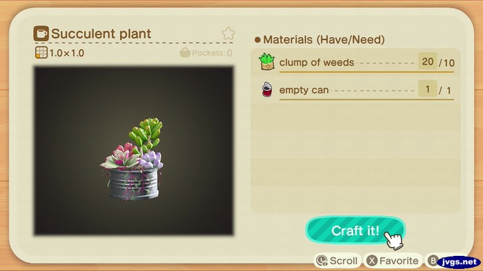 DIY recipe for a succulent plant.
