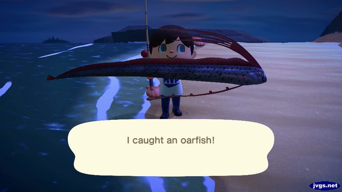 I caught an oarfish!