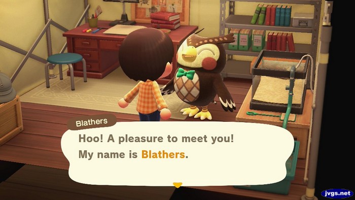Blathers: Hoo! A pleasure to meet you! My name is Blathers.