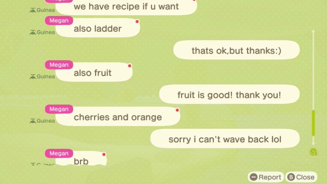 Chat log in Animal Crossing: New Horizons.