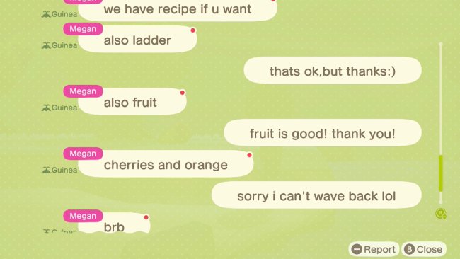 Chat log in Animal Crossing: New Horizons.