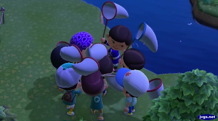 Having a net fight in Animal Crossing: New Horizons.