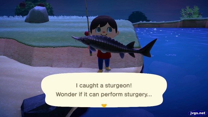 I caught a sturgeon! Wonder if it can perform sturgery...