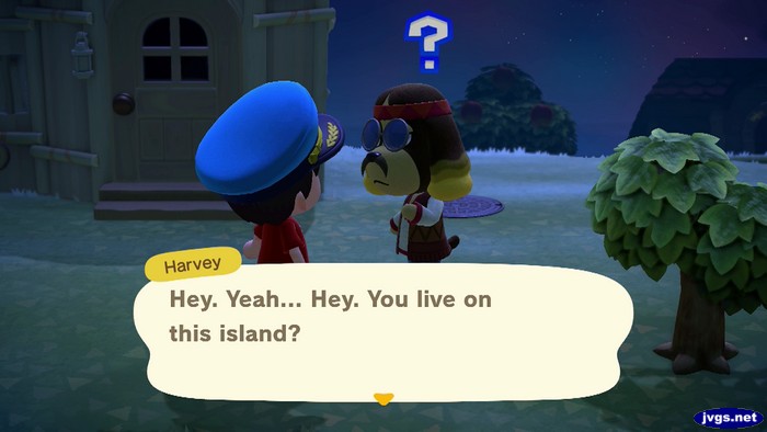 Harvey: Hey. Yeah... Hey. You live on this island?