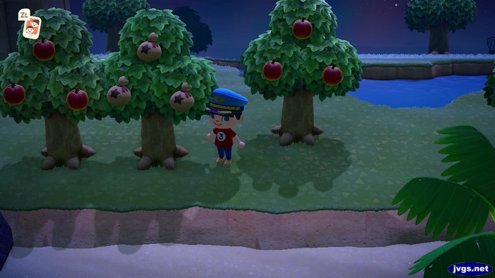 A money tree in Animal Crossing: New Horizons.