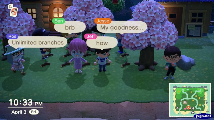 Lots of branches fall from one tree.