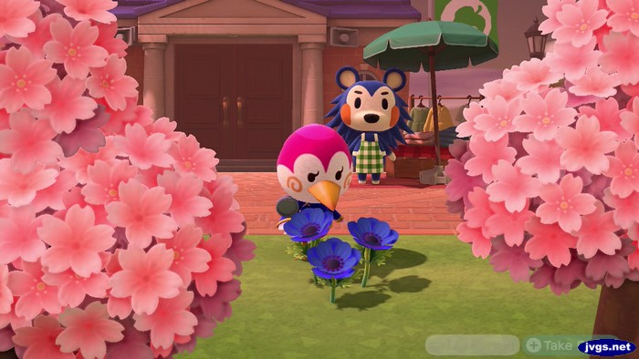 Midge examines flowers in Animal Crossing: New Horizons.
