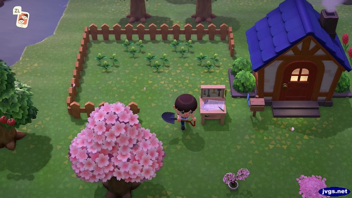 Jeff's yard in Animal Crossing: New Horizons.
