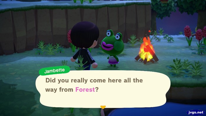 Jambette: Did you really come here all the way from Forest.