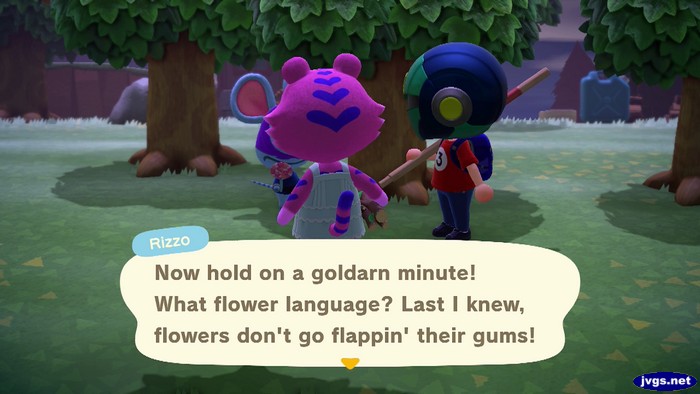 Rizzo: Now hold on a goldarn minute! What flower language? Last I knew, flowers don't go flappin' their gums!