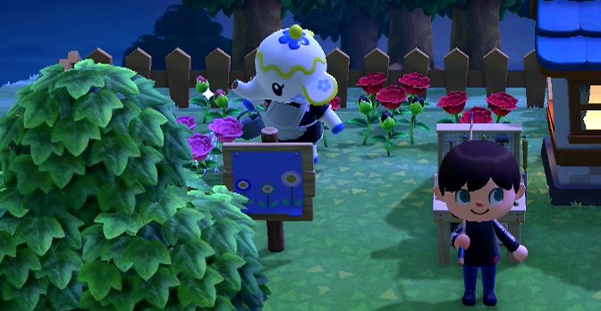 Tia waters flowers in my garden.