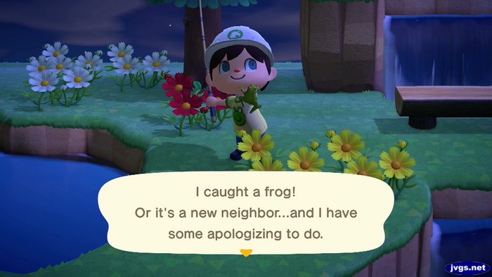 I caught a frog! Or it's a new neighbor...and I have some apologizing to do.