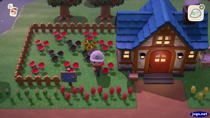 Jeff's flower garden before changes.