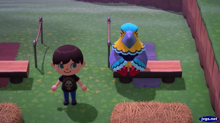 Keaton sits on a bench in the obstacle course.