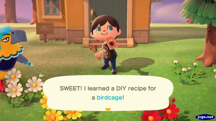 Keaton the eagle looks at Jeff as he learns the recipe to make a birdcage.