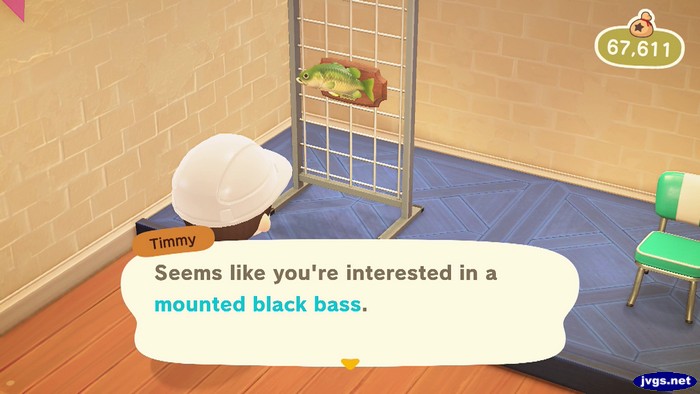 Timmy: Seems like you're interested in a mounted black bass.