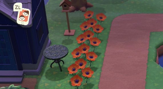 Orange windflowers in Animal Crossing: New Horizons.