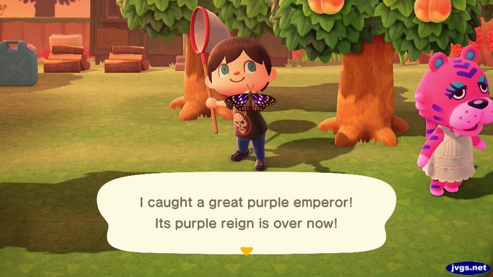 I caught a great purple emperor! Its purple reign is over now!