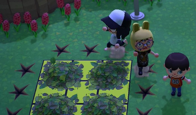A draw in a leaf sumo match in Animal Crossing: New Horizons.
