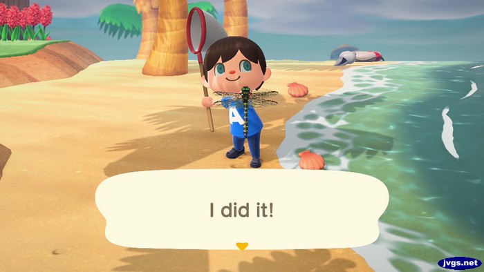Jeff, after catching a banded dragonfly in Animal Crossing: New Horizons: I did it!